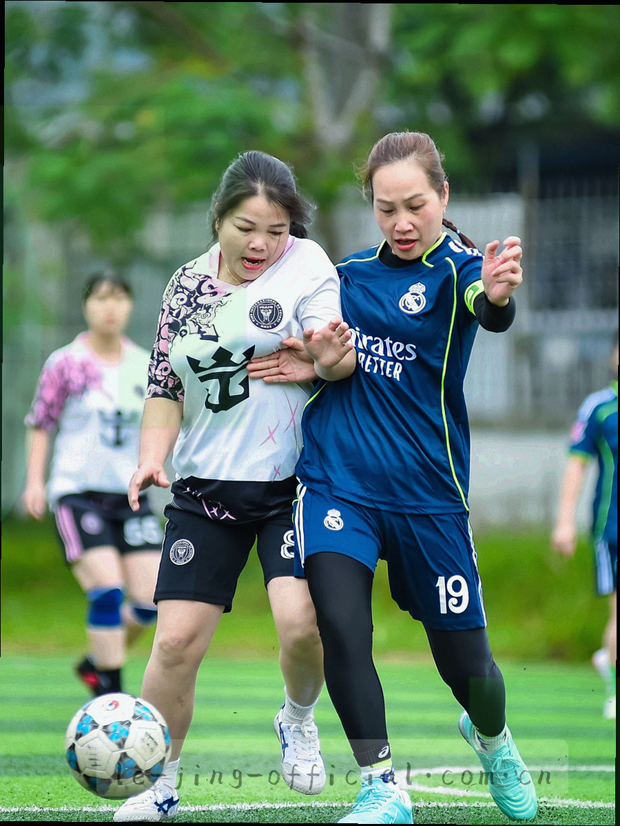 足球场俯拍，中场圆与草皮分区线形成规整几何图形